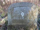 image of grave number 544374